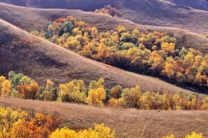 Fall 2023 Webinar