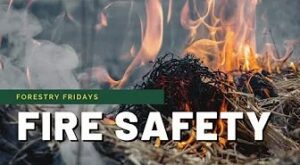 fire safety video