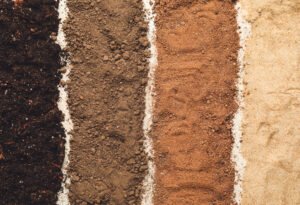 Interactive Guide to Soil Texture by Feel