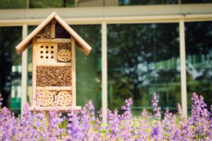 Pollinator Garden Course