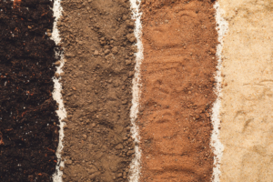 Interactive Guide to Soil Texture by Feel