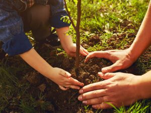 Soil Conservation Districts: A Quick Look
