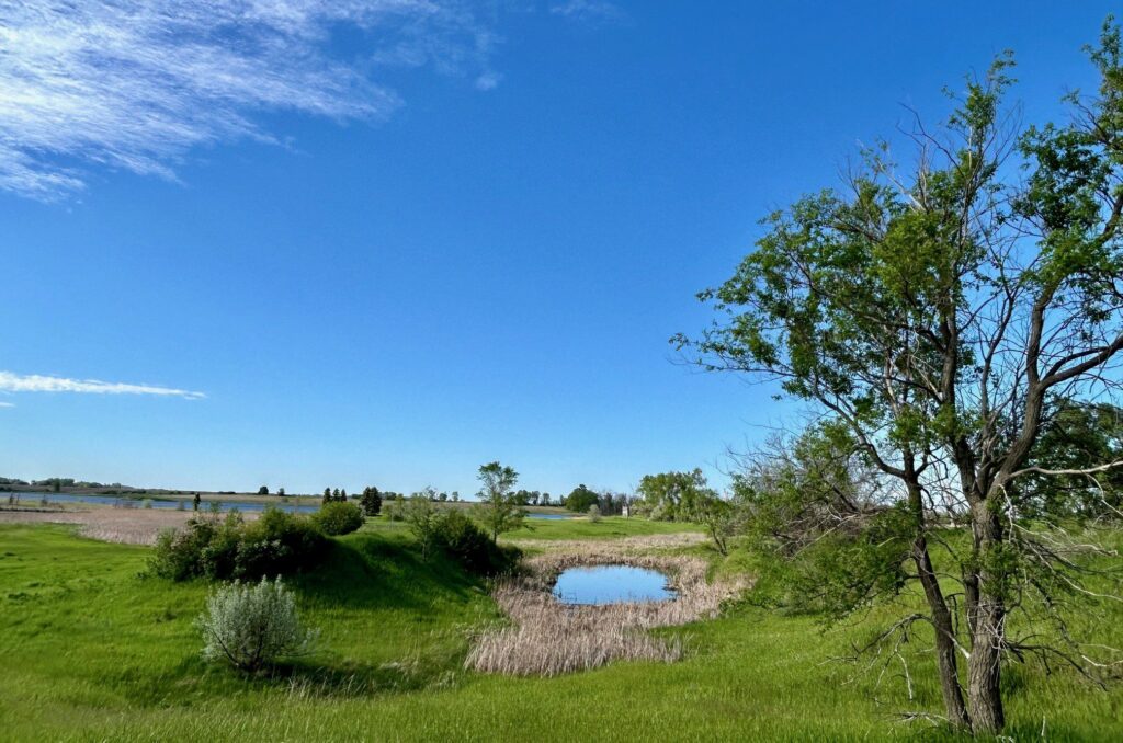 A Wetland/Grassland on a partly cloudy day.