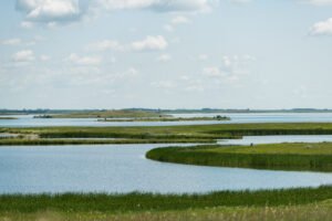 Watersheds on a mostly cloudy day.