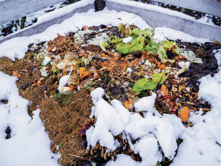 compost pile covered in snow